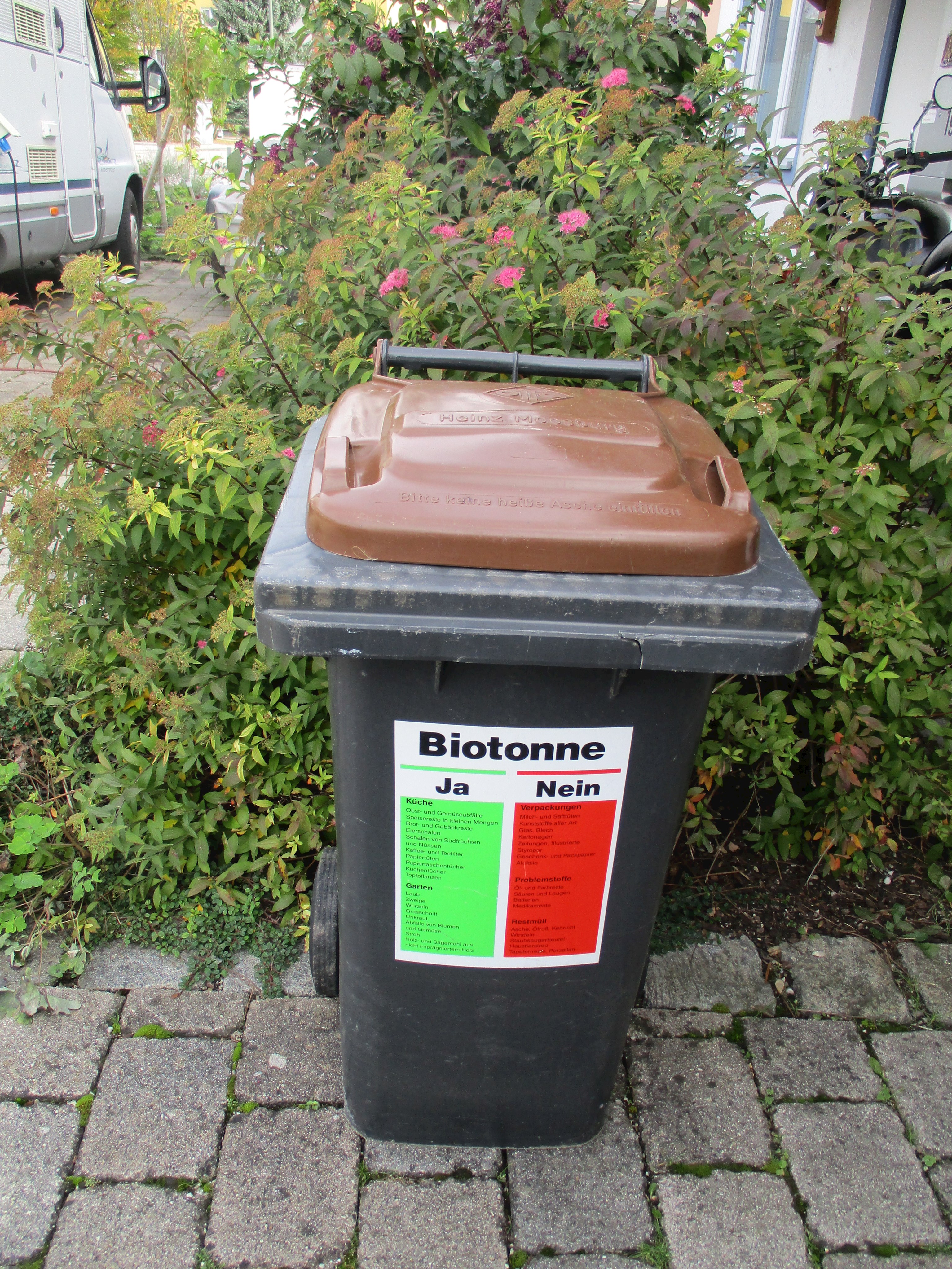 Die Biotonne im Sommer – Geruchsbildung und Insektenbefall vorbeugen