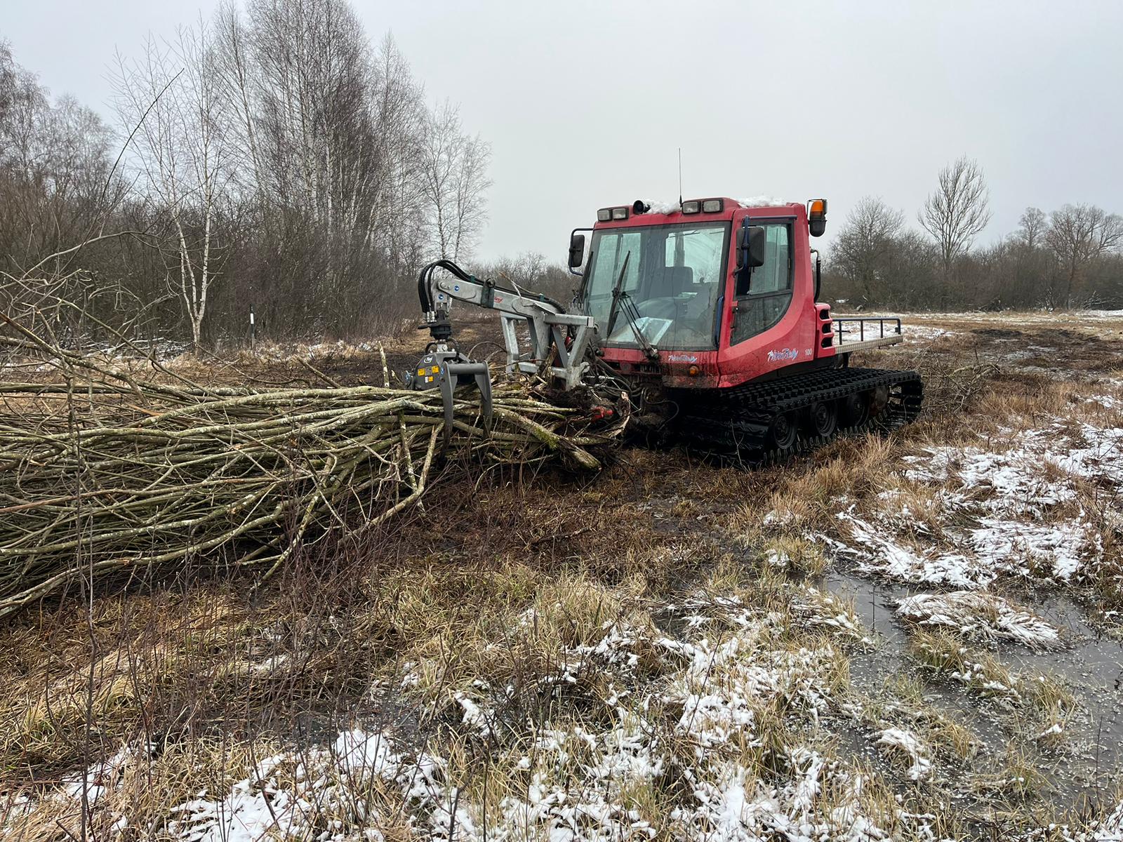 Foto: Martin Niedermeier
